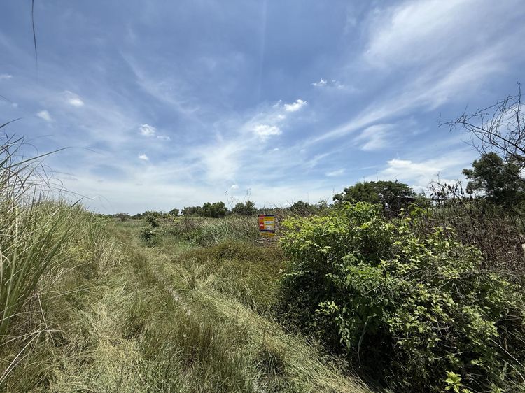 💟 ที่ดินเปล่า โครงการวินแอนด์เอฟ2 💟 รูปที่ 4