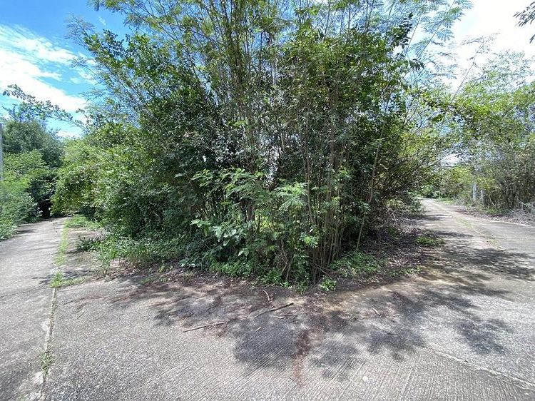 💟 ที่ดินเปล่า โครงการกรีนเม้าท์เท่น ลำพูน 💟 รูปที่ 4