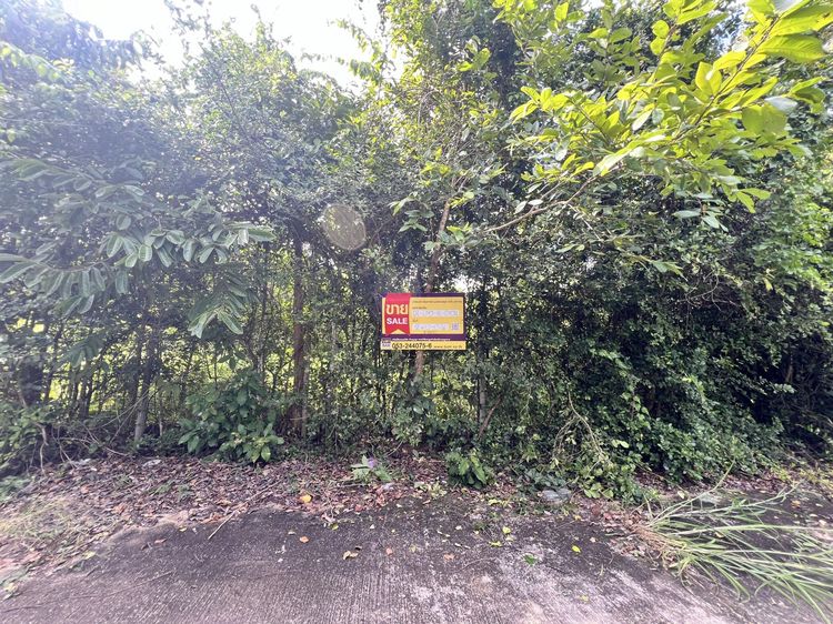 💟 ที่ดินเปล่า โครงการกรีนเม้าท์เท่น ลำพูน 💟