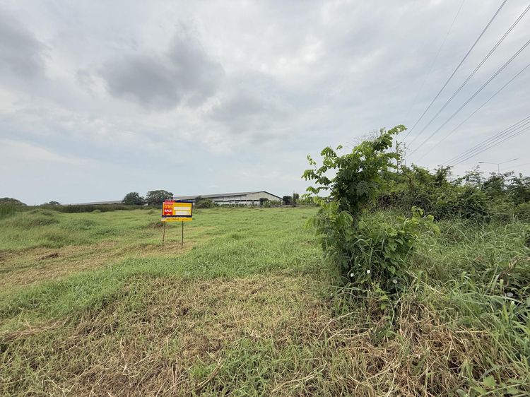 💟 ที่ดินเปล่า ติดถนนสายหนองโพ บ้านโป่ง ราชบุรี 💟 รูปที่ 3