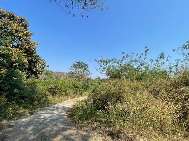 💟 ที่ดินเปล่า โครงการวิมานดารา รีสอร์ท เชียงใหม่ 💟 รูปที่ 3