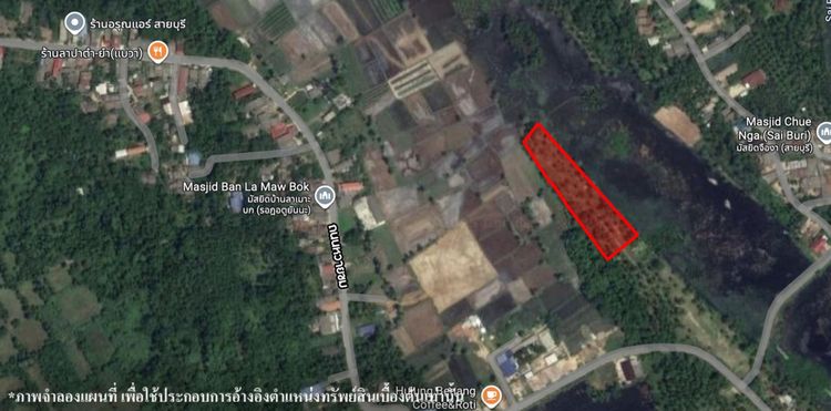 💟 ที่ดินเปล่า ปัตตานี 💟 รูปที่ 2