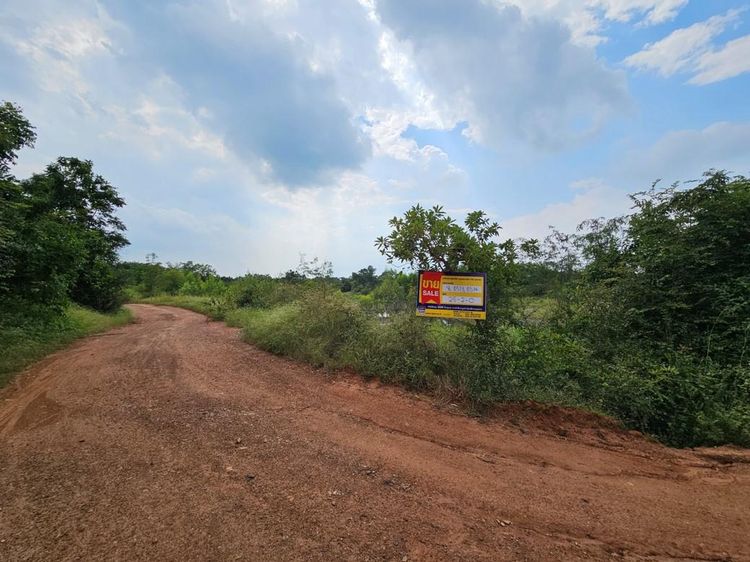 💟 ที่ดินเปล่า ชัยนาท 💟 รูปที่ 3