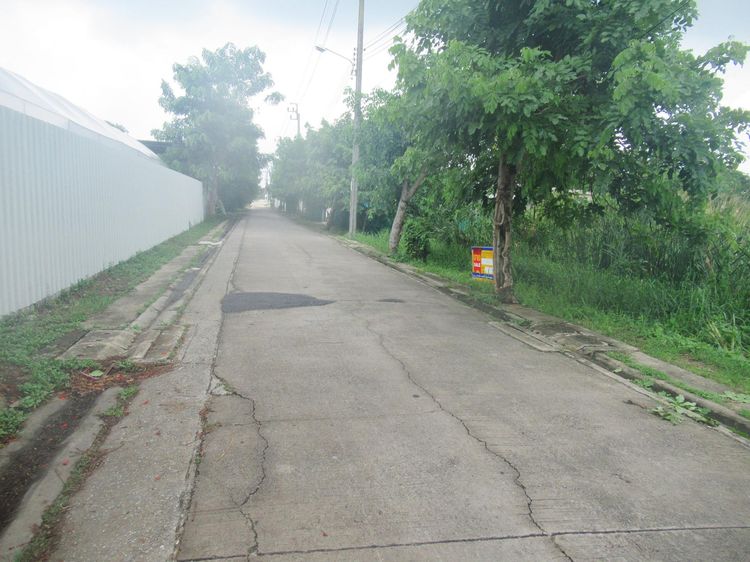 💟 ที่ดินเปล่า เพชรเกษม 77 💟 รูปที่ 4