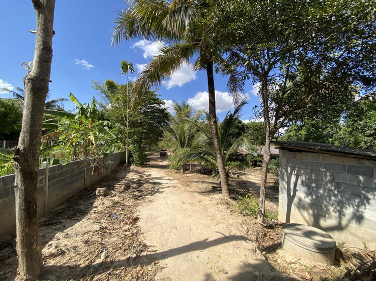 💟 ที่ดินเปล่า อำนาจเจริญ 💟 รูปที่ 3