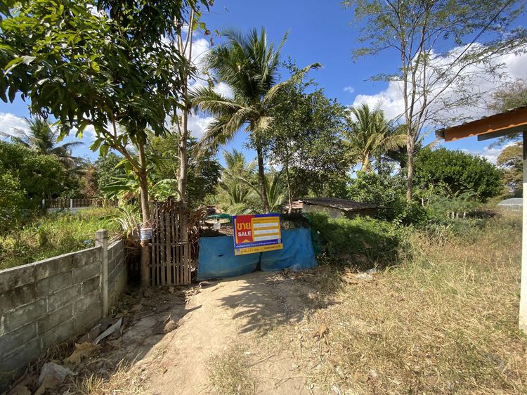 💟 ที่ดินเปล่า อำนาจเจริญ 💟