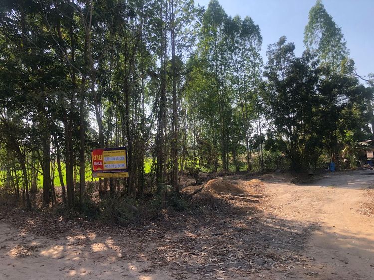 💟 ที่ดินเปล่า นครสวรรค์ 💟 รูปที่ 2