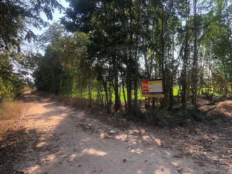 💟 ที่ดินเปล่า นครสวรรค์ 💟