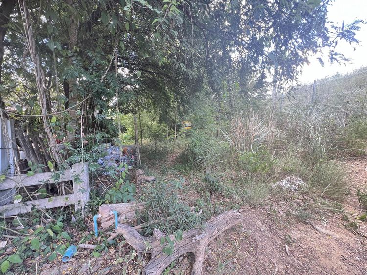 💟 ที่ดินเปล่า สมานมิตร สระบุรี 💟 รูปที่ 3