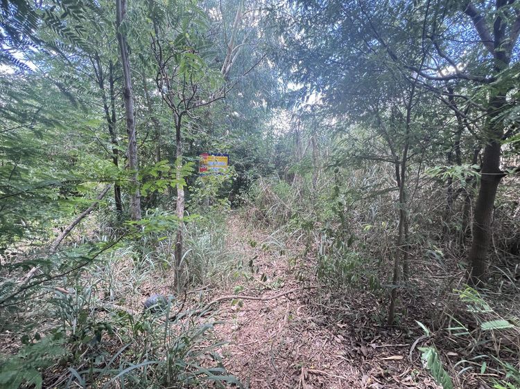 💟 ที่ดินเปล่า สมานมิตร สระบุรี 💟 รูปที่ 2