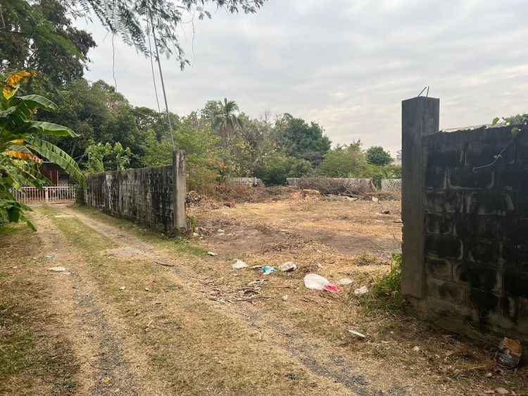 💟 ที่ดินเปล่า ในเมือง สุรินทร์ 💟 รูปที่ 4