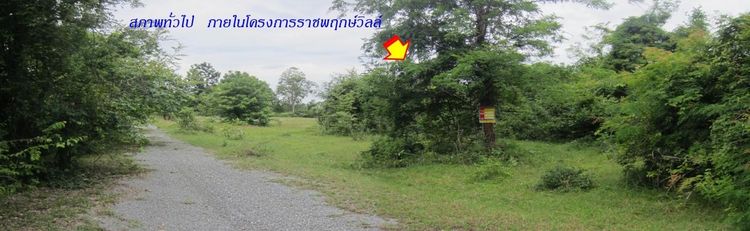 💟 ที่ดินเปล่าจัดสรร โครงการราชพฤกษ์วิลล์ 💟
