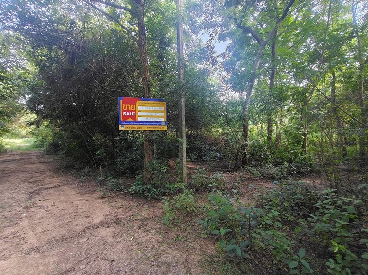 💟 ที่ดินเปล่า ขอนแก่น 💟