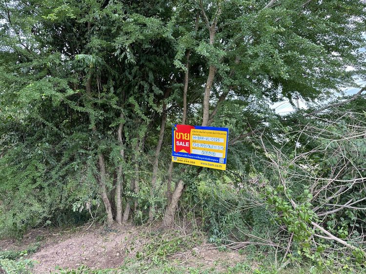 💟 ที่ดินเปล่า บุรีรัมย์ 💟 รูปที่ 3