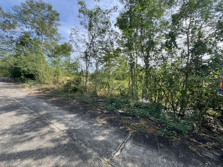 💟 ที่ดินเปล่า โครงการสวนแก้ว 1 ปทุมธานี 💟 รูปที่ 3