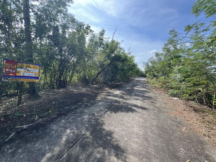 💟 ที่ดินเปล่า โครงการสวนแก้ว 1 ปทุมธานี 💟 รูปที่ 4