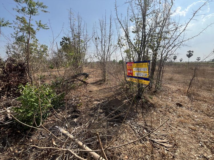 💟 ที่ดินเปล่า พลับพลาไชย สุพรรณบุรี 💟 รูปที่ 3