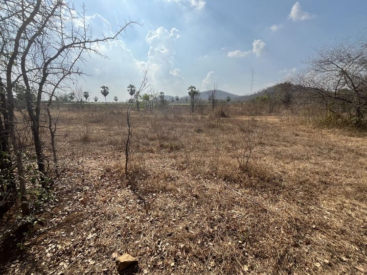 💟 ที่ดินเปล่า พลับพลาไชย สุพรรณบุรี 💟 รูปที่ 4