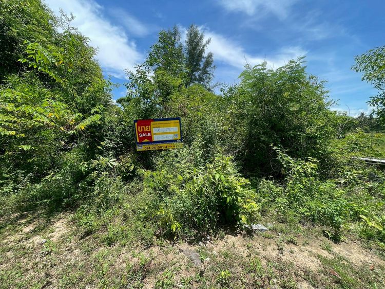 💟 ที่ดินเปล่า เขารูปช้าง เมืองสงขลา 💟 รูปที่ 4