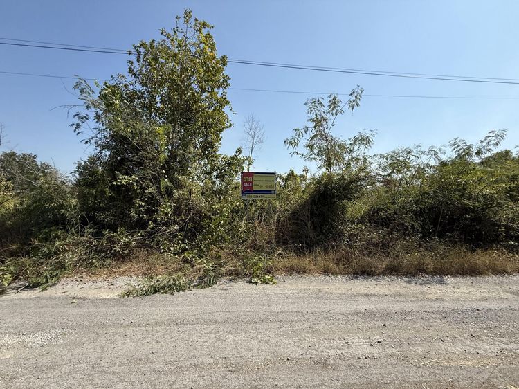 💟 ที่ดินเปล่า โครงการร่มรื่นการ์เด้นวิลล์ 2 สระบุรี 💟