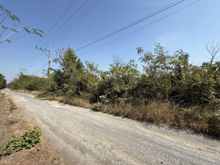 💟 ที่ดินเปล่า โครงการร่มรื่นการ์เด้นวิลล์ 2 สระบุรี 💟 รูปที่ 3