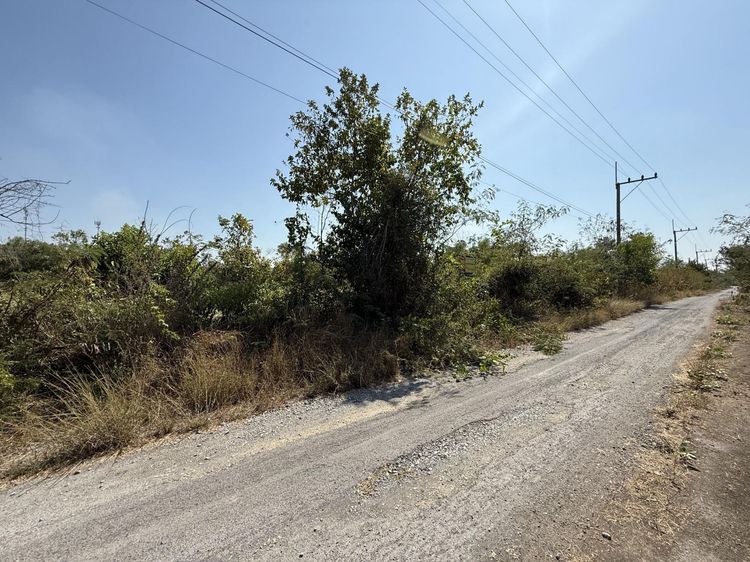 💟 ที่ดินเปล่า โครงการร่มรื่นการ์เด้นวิลล์ 2 สระบุรี 💟 รูปที่ 4