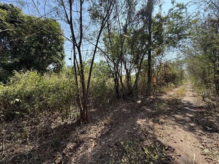 ð āļāļĩāđāļāļīāļāđāļāļĨāđāļē āđāļāļĢāļāļāļēāļĢāļĢāđāļĄāļĢāļ·āđāļāļāļēāļĢāđāđāļāđāļāļ§āļīāļĨāļĨāđ 2 āļŠāļĢāļ°āļāļļāļĢāļĩ ð āļĢāļđāļāļāļĩāđ 2