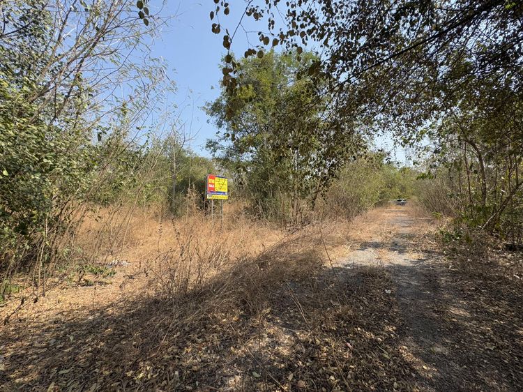 💟 ที่ดินเปล่า โครงการเลิศพนาแลนด์ สระบุรี 💟 รูปที่ 4