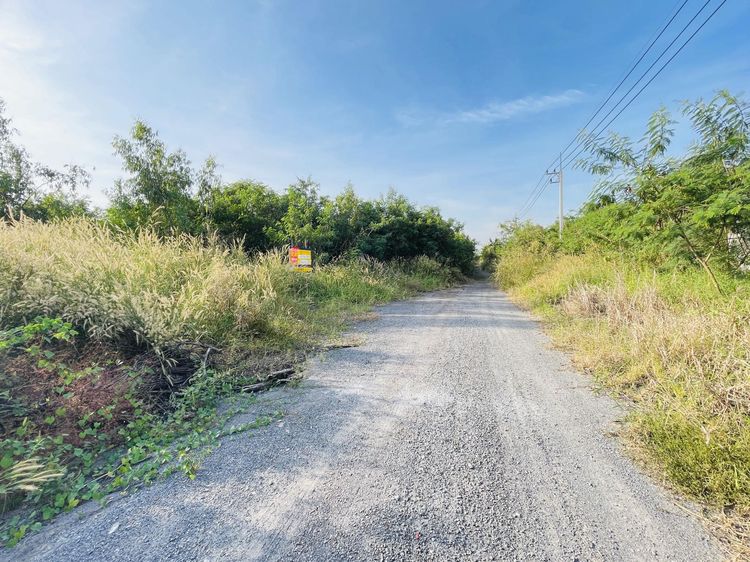 💟 ที่ดินเปล่า วังน้อย พระนครศรีอยุธยา 💟 รูปที่ 4