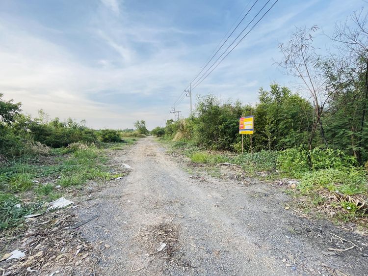 💟 ที่ดินเปล่า วังน้อย พระนครศรีอยุธยา 💟 รูปที่ 4