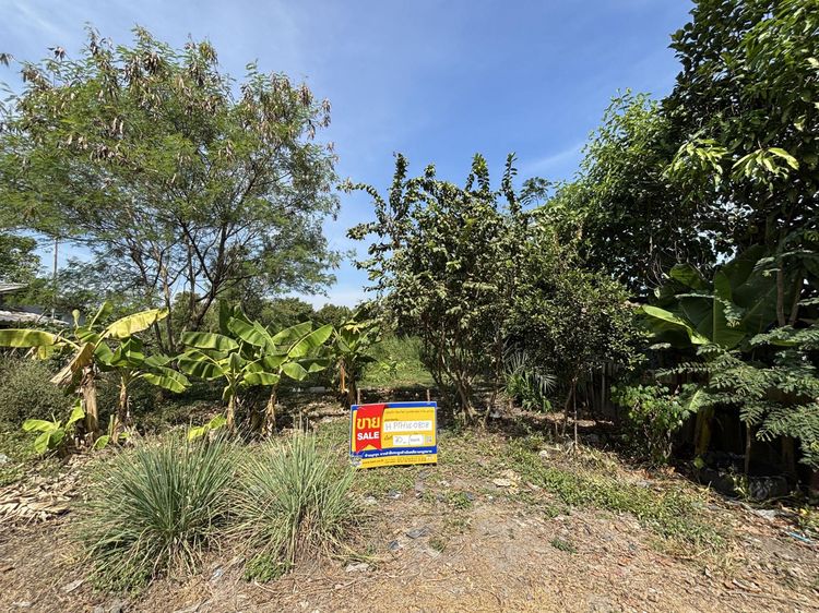 💟 ที่ดินเปล่า โครงการทศพลแลนด์ ปทุมธานี 💟