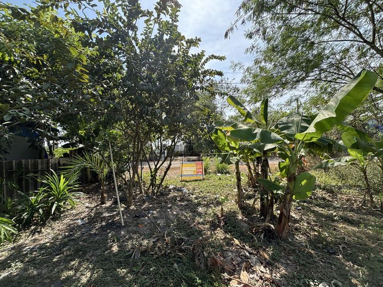 💟 ที่ดินเปล่า โครงการทศพลแลนด์ ปทุมธานี 💟 รูปที่ 4