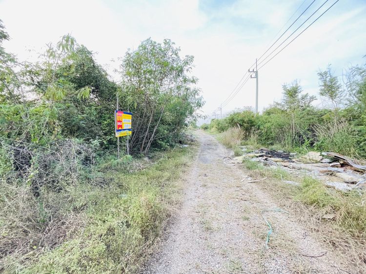 💟 ที่ดินเปล่า พระนครศรีอยุธยา 💟 รูปที่ 2