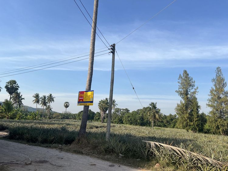 💟 ที่ดินเปล่า ประจวบคีรีขันธ์ 💟