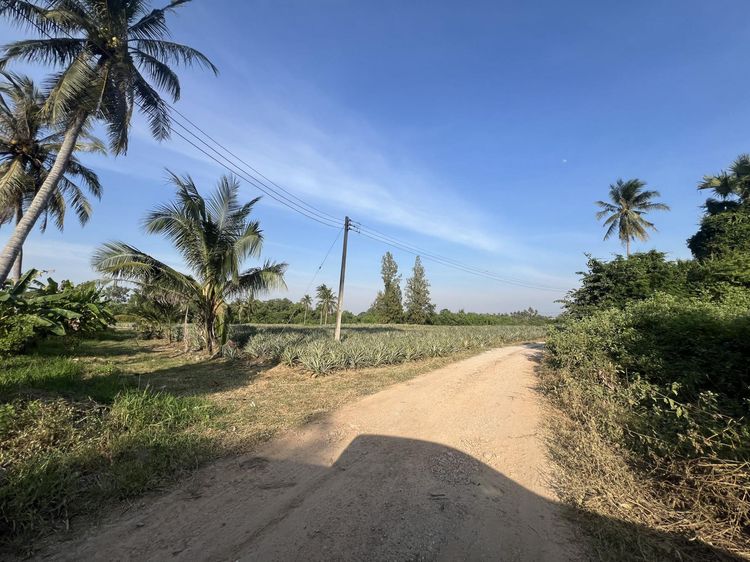 ð āļāļĩāđāļāļīāļāđāļāļĨāđāļē āļāļĢāļ°āļāļ§āļāļāļĩāļĢāļĩāļāļąāļāļāđ ð āļĢāļđāļāļāļĩāđ 2