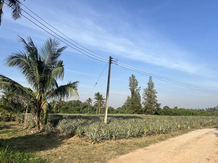 ð āļāļĩāđāļāļīāļāđāļāļĨāđāļē āļāļĢāļ°āļāļ§āļāļāļĩāļĢāļĩāļāļąāļāļāđ ð āļĢāļđāļāļāļĩāđ 3