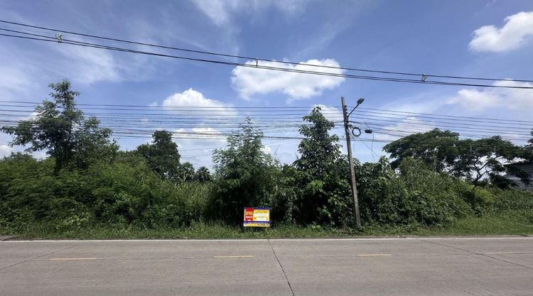 💟 ที่ดินเปล่าซอยวัดสิงห์ปทุมธานี 💟 รูปที่ 4