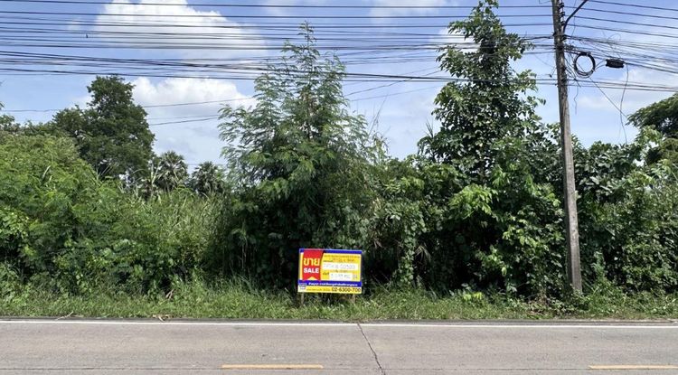 💟 ที่ดินเปล่าซอยวัดสิงห์ปทุมธานี 💟