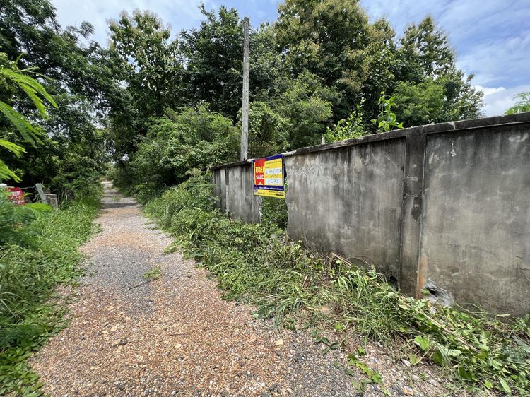 💟 ที่ดินเปล่า เพชรบูรณ์ 💟