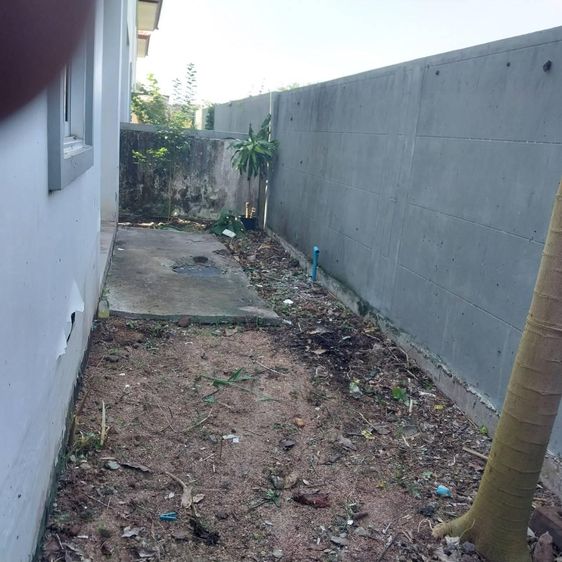 💟 บ้านเดี่ยว 2 ชั้น โครงการสุขุมวิท 1 ฉะเชิงเทรา 💟 รูปที่ 4