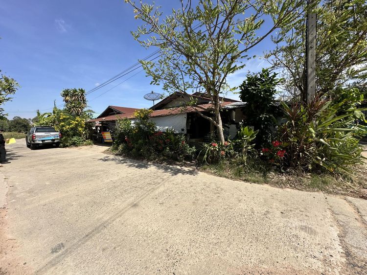 💟 บ้านเดี่ยวชั้นเดียว ชุมชนบ้านหนองสิม 💟 รูปที่ 3