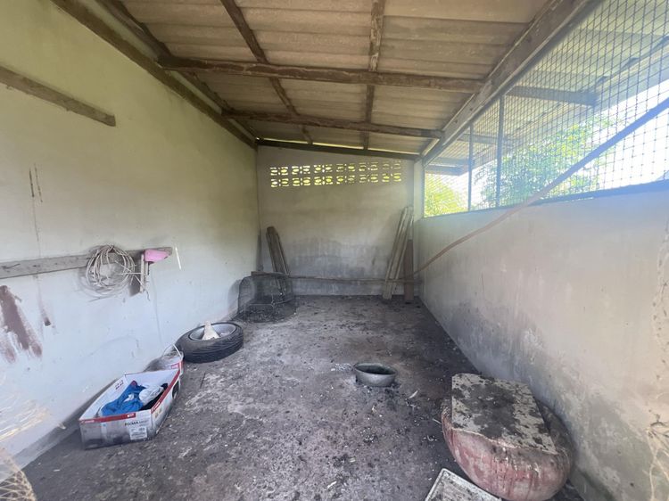 💟 บ้านเดี่ยว หัวไทร นครศรีธรรมราช 💟 รูปที่ 3