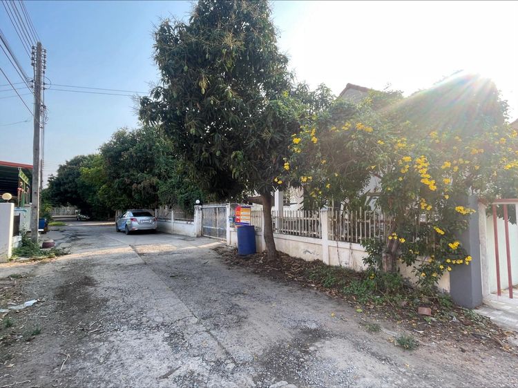 💟 บ้านเดี่ยว โครงการน้ำผึ้งแลนด์ 2 นครราชสีมา 💟 รูปที่ 3