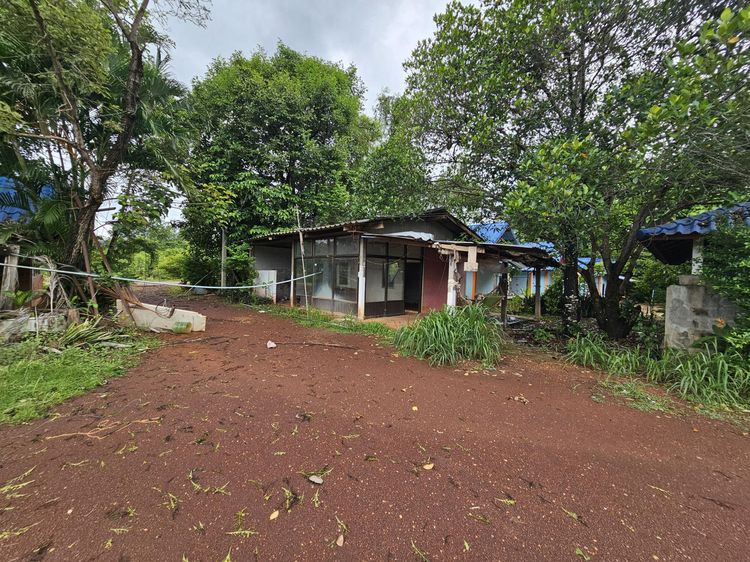 💟 บ้านเดี่ยว คำตากล้า สกลนคร 💟 รูปที่ 2