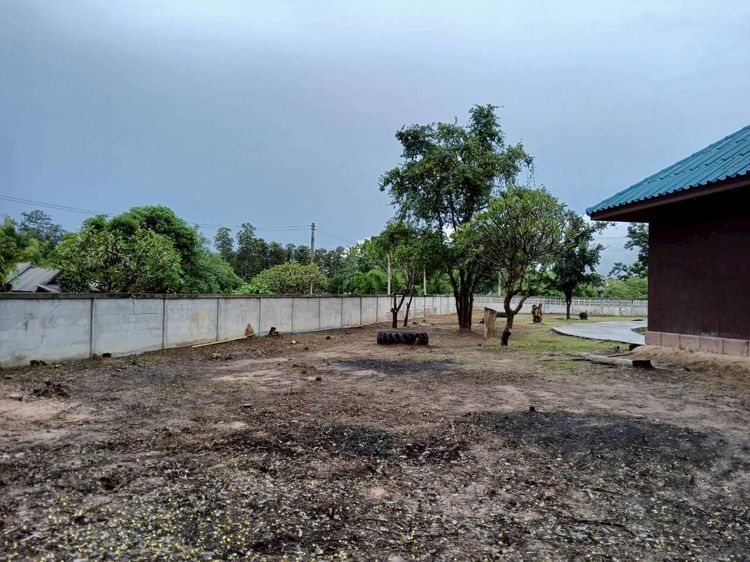 💟 บ้านเดี่ยวชั้นเดียว บุรีรัมย์ 💟 รูปที่ 4