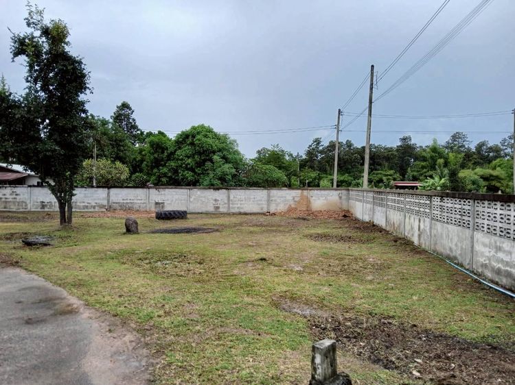 💟 บ้านเดี่ยวชั้นเดียว บุรีรัมย์ 💟 รูปที่ 3