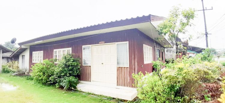 💟 บ้านเดี่ยว เชียงราย 💟 รูปที่ 3