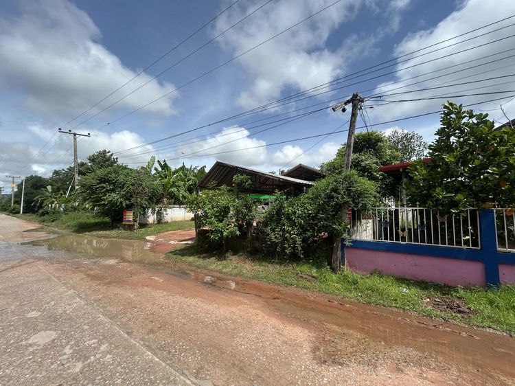 💟 บ้านเดียวโครงการบ้านเต่าชัยภูมิ 💟 รูปที่ 2