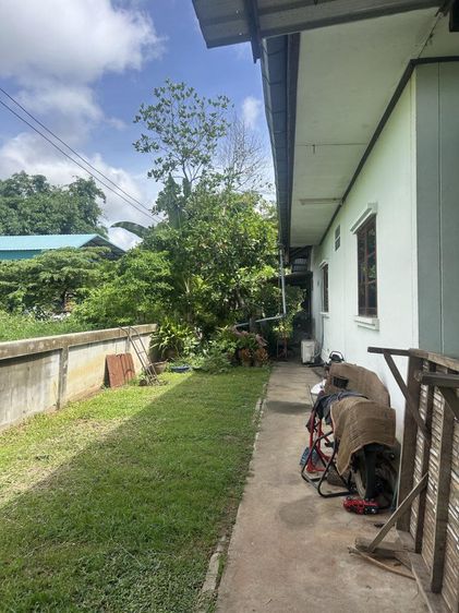 💟 บ้านเดียวโครงการบ้านเต่าชัยภูมิ 💟 รูปที่ 4