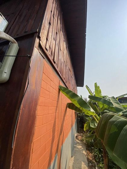 💟 บ้านเดี่ยวชัยภูมิ 💟 รูปที่ 4